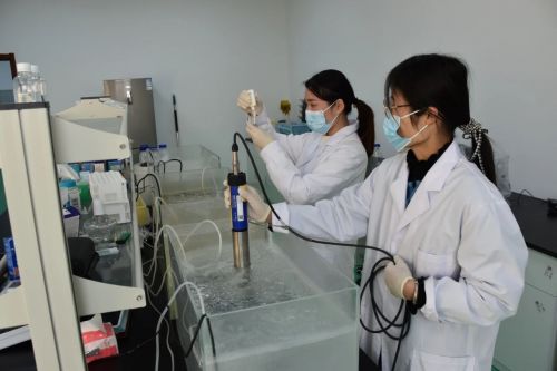 海璟水产荣获全国水产绿色健康“五大行动”基地称号，科技赋能引领行业变革