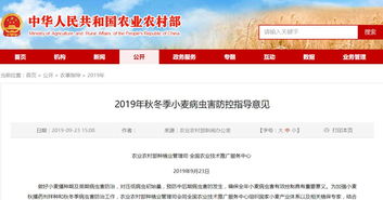 全国农业技术推广服务中心发布2019年秋冬季小麦主产区重点病虫害防控指南 提前预防，科技助力软件开发